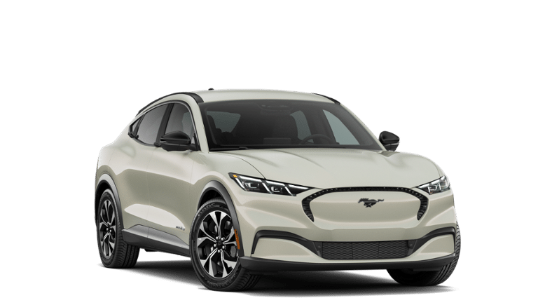 Mustang Mach-E® vehicle